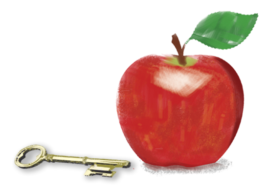 apple-key3